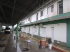 GEDC0941_800x600