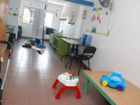 jardin7